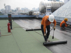 Construction garden roofs