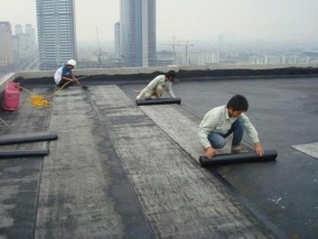 Construction garden roofs
